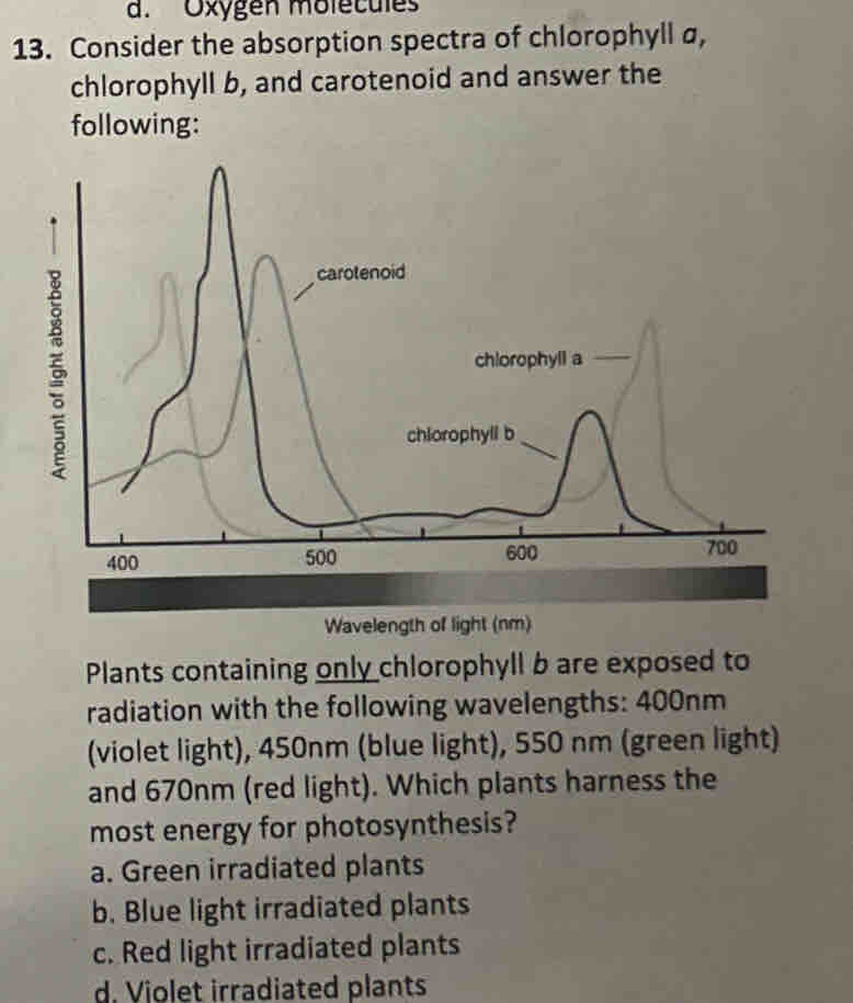 Oxygen molécules
13. Consider the absorption spectra of chlorophyll α,
chlorophyll b, and carotenoid and answer the
following:
Wavelength of light (nm)
Plants containing only chlorophyll b are exposed to
radiation with the following wavelengths: 400nm
(violet light), 450nm (blue light), 550 nm (green light)
and 670nm (red light). Which plants harness the
most energy for photosynthesis?
a. Green irradiated plants
b. Blue light irradiated plants
c. Red light irradiated plants
d. Violet irradiated plants