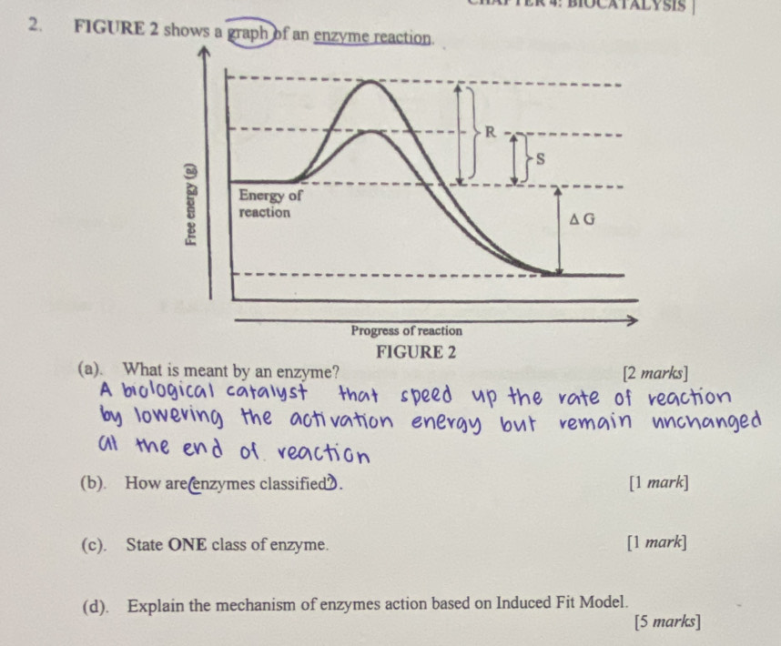 OCATALYSIS
2. FIGURE 2 shows a graph of an enzyme rea
(a). What is meant by an enzyme? [2 marks]
(b). How are(enzymes classified. [1 mark]
(c). State ONE class of enzyme. [1 mark]
(d). Explain the mechanism of enzymes action based on Induced Fit Model.
[5 marks]