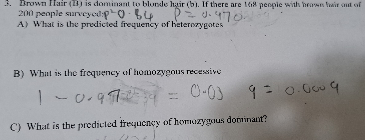 Brown Hair (B) is dominant to blonde hair (b). If there are 168 people with brown hair out of
200 people surveyed: 
A) What is the predicted frequency of heterozygotes 
B) What is the frequency of homozygous recessive 
C) What is the predicted frequency of homozygous dominant?