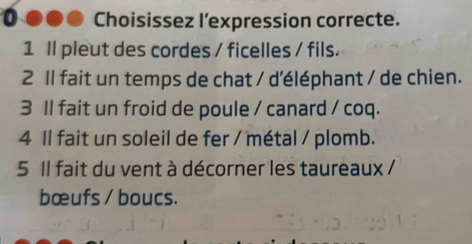 a Choisissez l’expression correcte.
1 ll pleut des cordes / ficelles / fils.
2 Il fait un temps de chat / d'éléphant / de chien.
3 Il fait un froid de poule / canard / coq.
4 Il fait un soleil de fer / métal / plomb.
5 Il fait du vent à décorner les taureaux /
bœufs / boucs.