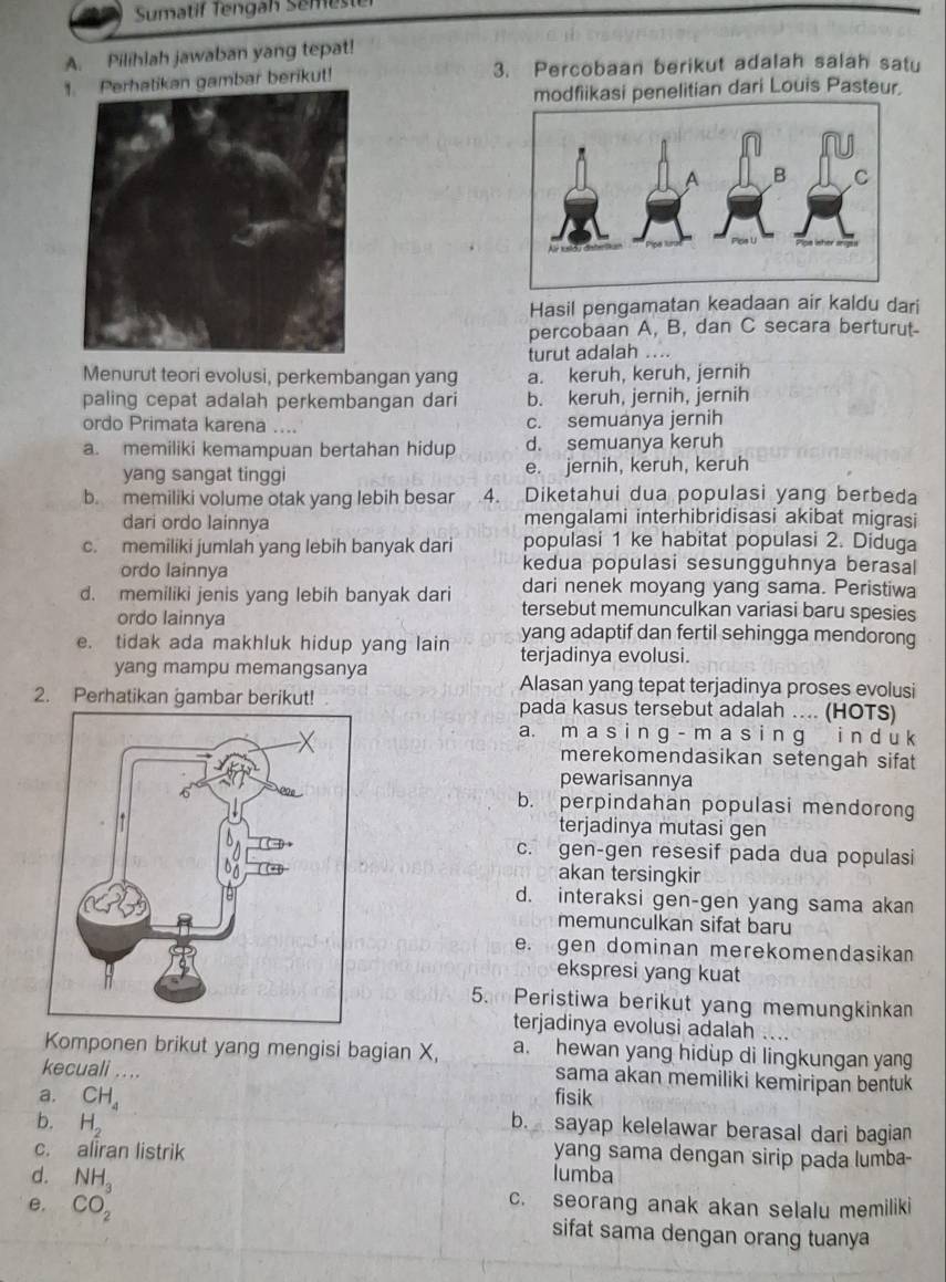 Sumatif Tengaß Semest
A. Pilihlah jawaban yang tepat!
1an gambar berikut! 3. Percobaan berikut adalah salah satu
modfiikasi penelitian dari Louis Pasteur.
Hasil pengamatan keadaan air kaldu dari
percobaan A, B, dan C secara berturut-
turut adalah ....
Menurut teori evolusi, perkembangan yang a. keruh, keruh, jernih
paling cepat adalah perkembangan dari b. keruh, jernih, jernih
ordo Primata karena .... c. semuanya jernih
a. memiliki kemampuan bertahan hidup d. semuanya keruh
yang sangat tinggi e. jernih, keruh, keruh
b. memiliki volume otak yang lebih besar 4. Diketahui dua populasi yang berbeda
dari ordo lainnya mengalami interhibridisasi akibat migrasi
c. memiliki jumlah yang lebih banyak dari populasi 1 ke habitat populasi 2. Diduga
ordo lainnya kedua populasi sesungguhnya berasal
dari nenek moyang yang sama. Peristiwa
d. memiliki jenis yang lebih banyak dari tersebut memunculkan variasi baru spesies
ordo lainnya yang adaptif dan fertil sehingga mendorong
e. tidak ada makhluk hidup yang lain terjadinya evolusi.
yang mampu memangsanya
Alasan yang tepat terjadinya proses evolusi
2. Perhatikan gambar berikut! pada kasus tersebut adalah . (HOTS)
a. m a s i n g - m a s i n g i n d u k
merekomendasikan setengah sifat
pewarisannya
b. perpindahan populasi mendorong
terjadinya mutasi gen
c. gen-gen resesif pada dua populasi
akan tersingkir
d. interaksi gen-gen yang sama akan
memunculkan sifat baru
e. gen dominan merekomendasikan
ekspresi yang kuat
5. Peristiwa berikut yang memungkinka
terjadinya evolusi adalah
Komponen brikut yang mengisi bagian X, a. hewan yang hidup di lingkungan yang
kecuali ....
sama akan memiliki kemiripan bentuk
fisik
a. CH_4 b. sayap kelelawar berasal dari bagian
b. H_2
c. aliran listrik
yang sama dengan sirip pada lumba-
d. NH_3
lumba
c. seorang anak akan selalu memiliki
e. CO_2 sifat sama dengan orang tuanya