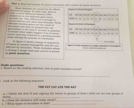 Read and analyze the given information then answer the guide questions. 
Many diseases are caused by the effects 
of inherited genes. In most case, there is Sequence for Normal Hemoglobin 
only a small difference between DNA 
sequences in the defective gene and a AFG GTG CAC CTG ACT CCT GAG GAG AAG TCT GEE GT! 
normal one. This difference is enough to START Val His Leu Thr Pro Ghy Giu Lys Ser Aia Va 
cause serious and often fatal diseases. These 
disease-causing genes are the result of Sequence for Sickle Cell Hemogtobin 
mutation and may be passed from one 
generation to the next if present in gametes. ATG GTG CAC CTG ACT CCT gag aAG TCT GEC GT! 
Consider what might happen if an incorrect START Val Mis Lay The Pos Vat Glu Lys Ser Ala Val 
amino acid was inserted in a growing protein 
chain during the process of translation. 
In figure 2 shows change in sequences Point mnutation 
of bases in normal hemoglobin and the one Figure 5: Point mutation of a single nucleotide in hemoglobin 
affected by mutation. These mutation where Source: pibsiblood weelbty.com 
a change a single base pair occurs is known 
as point mutation. 
Guide questions: 
1. Based on the reading selection, how is point mutation occurs? 
_ 
. Look at the following sequence: 
THE FAT CAT ATE THE RAT 
a. ) Delete the first H and regroup the letters in groups of three ( write out the new groups of 
threel_ 
b. ) Does the sentence still make sense?_ 
c. ) What types of mutation is this?_