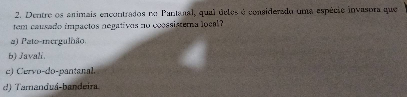 Dentre os animais encontrados no Pantanal, qual deles é considerado uma espécie invasora que
tem causado impactos negativos no ecossistema local?
a) Pato-mergulhão.
b) Javali.
c) Cervo-do-pantanal.
d) Tamanduá-bandeira.