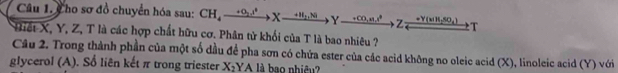 Cho sơ đồ chuyển hóa sau: CH_4to Xxrightarrow +H_2,N)Yxrightarrow +CO_2,n^(+CO,n,^+Yxrightarrow +SO_4))arrow T 
Riết X, Y, Z, T là các hợp chất hữu cơ. Phân tử khối của T là bao nhiêu ? 
Câu 2. Trong thành phần của một số đầu để pha sơn có chứa ester của các acid không no oleic acid (X), linoleic acid (Y) với 
glycerol (A). Sổ liên kết π trong triester X_2 YA là bao nhiều?