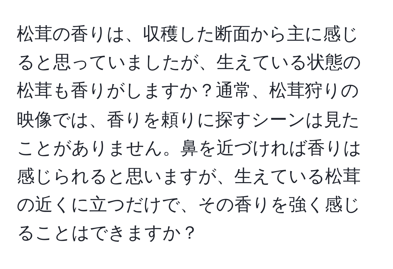 松茸の香りは、収穫した断面から主に感じると思っていましたが、生えている状態の松茸も香りがしますか？通常、松茸狩りの映像では、香りを頼りに探すシーンは見たことがありません。鼻を近づければ香りは感じられると思いますが、生えている松茸の近くに立つだけで、その香りを強く感じることはできますか？