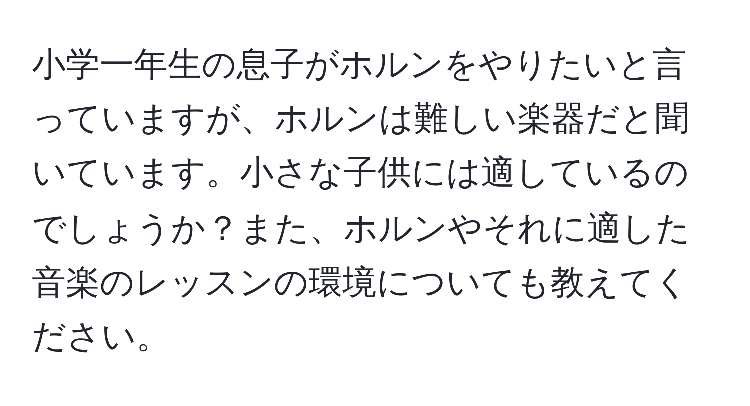 小学一年生の息子がホルンをやりたいと言っていますが、ホルンは難しい楽器だと聞いています。小さな子供には適しているのでしょうか？また、ホルンやそれに適した音楽のレッスンの環境についても教えてください。