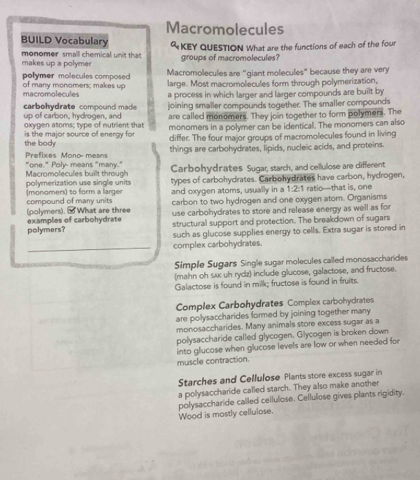 Macromolecules
BUILD Vocabulary
monomer small chemical unit that & KEY QUESTION What are the functions of each of the four
makes up a polymer groups of macromolecules?
polymer molecules composed Macromolecules are "giant molecules” because they are very
of many monomers; makes up large. Most macromolecules form through polymerization,
macromolecules a process in which larger and larger compounds are built by
carbohydrate compound made joining smaller compounds together. The smaller compounds
up of carbon, hydrogen, and are called monomers. They join together to form polymers. The
oxygen atoms; type of nutrient that
is the major source of energy for monomers in a polymer can be identical. The monomers can also
the body differ. The four major groups of macromolecules found in living
Prefixes Mono- means things are carbohydrates, lipids, nucleic acids, and proteins.
"one." Poly- means "many."
Macromolecules built through Carbohydrates Sugar, starch, and cellulose are different
polymerization use single units types of carbohydrates. Carbohydrates have carbon, hydrogen,
(monomers) to form a larger
compound of many units and oxygen atoms, usually in a 1:2:1. ratio—that is, one
(polymers). [ What are three carbon to two hydrogen and one oxygen atom. Organisms
examples of carbohydrate use carbohydrates to store and release energy as well as for
polymers? structural support and protection. The breakdown of sugars
such as glucose supplies energy to cells. Extra sugar is stored in
_complex carbohydrates.
Simple Sugars Single sugar molecules called monosaccharides
(mahn oh sAK uh rydz) include glucose, galactose, and fructose.
Galactose is found in milk; fructose is found in fruits.
Complex Carbohydrates Complex carbohydrates
are polysaccharides formed by joining together many
monosaccharides. Many animals store excess sugar as a
polysaccharide called glycogen. Glycogen is broken down
into glucose when glucose levels are low or when needed for
muscle contraction.
Starches and Cellulose Plants store excess sugar in
a polysaccharide called starch. They also make another
polysaccharide called cellulose. Cellulose gives plants rigidity.
Wood is mostly cellulose.