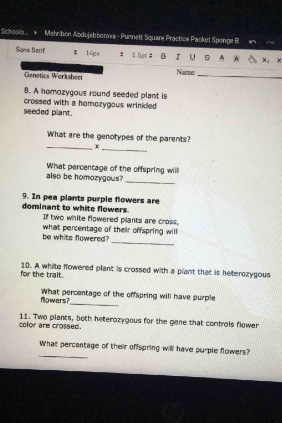 Schoolo... Mehribon Abdujabborova - Punnett Square Practice Packet Sponge B 
Sans Serif 14px 1.5pt B I U S A x_2 
Genetics Worksheet 
Name: 
_ 
8. A homozygous round seeded plant is 
crossed with a homozygous wrinkled 
seeded plant. 
_ 
What are the genotypes of the parents? 
_ 
What percentage of the offspring will 
also be homozygous? 
_ 
9. In pea plants purple flowers are 
dominant to white flowers. 
If two white flowered plants are cross, 
what percentage of their offspring will 
_ 
be white flowered? 
10. A white flowered plant is crossed with a plant that is heterozygous 
for the trait. 
_ 
What percentage of the offspring will have purple 
flowers? 
11. Two plants, both heterozygous for the gene that controls flower 
color are crossed. 
_ 
What percentage of their offspring will have purple flowers?