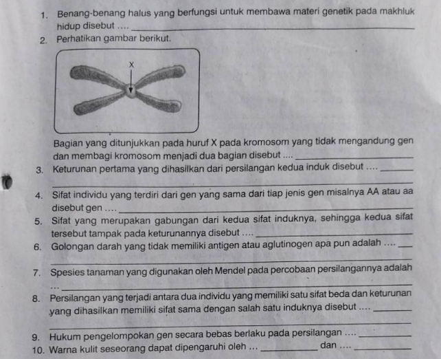 Benang-benang halus yang berfungsi untuk membawa materi genetik pada makhluk 
hidup disebut ...._ 
2. Perhatikan gambar berikut. 
Bagian yang ditunjukkan pada huruf X pada kromosom yang tidak mengandung gen 
dan membagi kromosom menjadi dua bagian disebut ...._ 
3. Keturunan pertama yang dihasilkan dari persilangan kedua induk disebut …_ 
_ 
4. Sifat individu yang terdiri dari gen yang sama dari tiap jenis gen misalnya AA atau aa 
disebut gen . . . ._ 
5. Sifat yang merupakan gabungan dari kedua sifat induknya, sehingga kedua sifat 
tersebut tampak pada keturunannya disebut ...._ 
6. Golongan darah yang tidak memiliki antigen atau aglutinogen apa pun adalah …_ 
_ 
7. Spesies tanaman yang digunakan oleh Mendel pada percobaan persilangannya adalah 
_ 
8. Persilangan yang terjadi antara dua individu yang memiliki satu sifat beda dan keturunan 
yang dihasilkan memiliki sifat sama dengan salah satu induknya disebut ...._ 
_ 
9. Hukum pengelompokan gen secara bebas berlaku pada persilangan ._ 
10. Warna kulit seseorang dapat dipengaruhi oleh .. _dan ...._