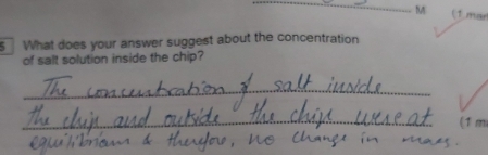 (1 mar 
sWhat does your answer suggest about the concentration 
of salt solution inside the chip? 
_ 
_(1 m