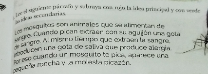 as ideas secundarias. te el siguiente párrafo y subraya con rojo la ídea principal y con verde 
Los mosquitos son animales que se alimentan de 
sangre. Cuando pican extraen con su aguijón una gota 
de sangre. Al mismo tiempo que extraen la sangre, 
introducen una gota de saliva que produce alergia. 
Pr eso cuando un mosquito te pica, aparece una 
Dequeña roncha y la molesta picazón.