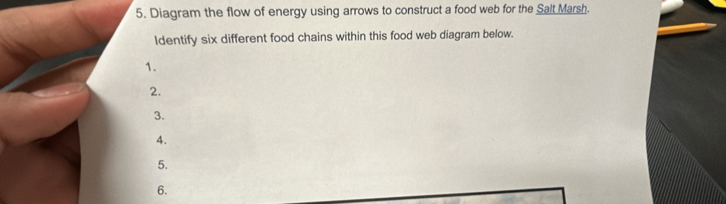 Solved: Diagram the flow of energy using arrows to construct a food web ...