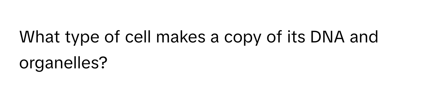 What type of cell makes a copy of its DNA and organelles?