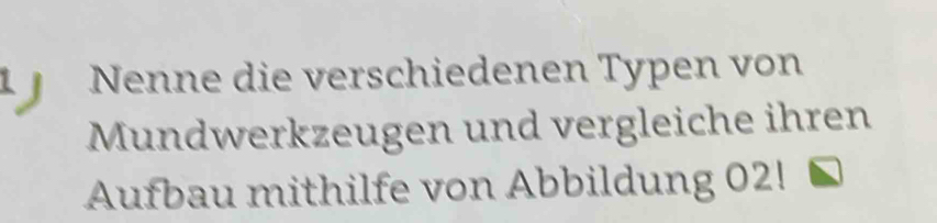 Nenne die verschiedenen Typen von 
Mundwerkzeugen und vergleiche ihren 
Aufbau mithilfe von Abbildung 02!