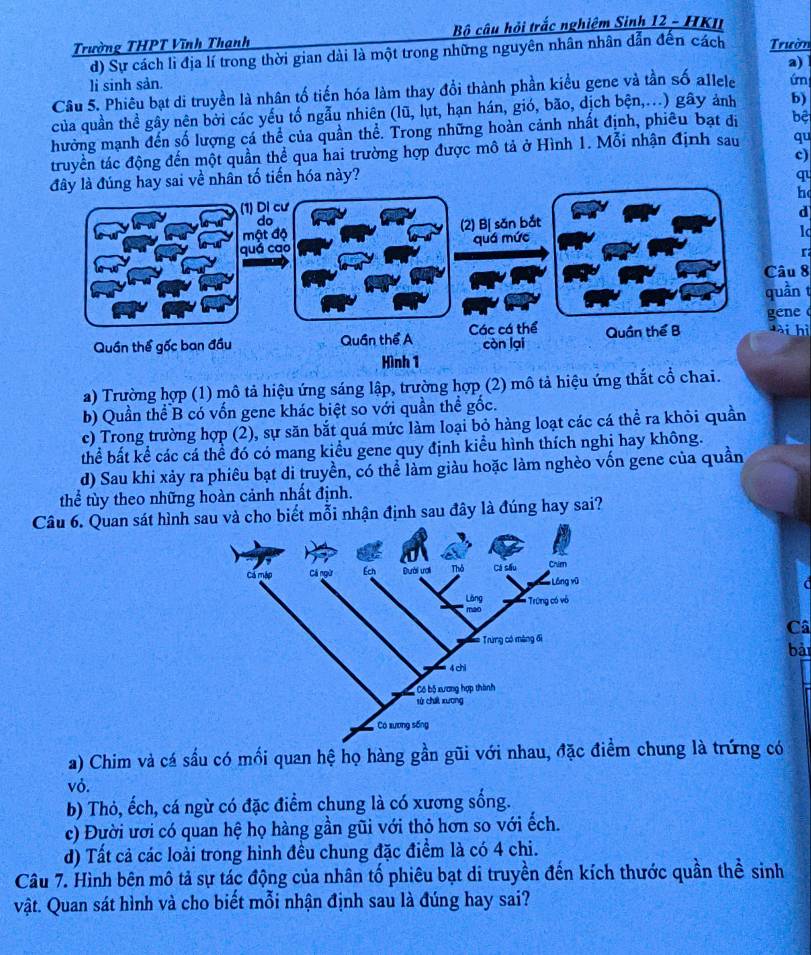 Trường THPT Vĩnh Thạnh  Bộ câu hỏi trắc nghiệm Sinh 12 - HKI
d) Sự cách lì địa lí trong thời gian dài là một trong những nguyên nhân nhân dẫn đến cách Trườn
a)
li sinh sản.
Câu 5. Phiêu bạt di truyền là nhân tố tiến hóa làm thay đổi thành phần kiểu gene và tần số allele ún
của quần thể gây nên bởi các yếu tố ngẫu nhiên (lũ, lụt, hạn hán, gió, bão, dịch bện,...) gây ảnh b)
hưởng mạnh đến số lượng cá thể của quần thể. Trong những hoàn cảnh nhất định, phiêu bạt đi bệ
truyền tác động đến một quần thể qua hai trường hợp được mô tả ở Hình 1. Mỗi nhận định sau qu
c)
là đúng hay sai về nhân tố tiến hóa này?
q
h
d
r
âu 8
uần t
i hì
ene
a) Trường hợp (1) mô tả hiệu ứng sáng lập, trường hợp (2) mô tả hiệu ứng thắt cổ chai.
b) Quần thể B có vốn gene khác biệt so với quần thể gốc.
c) Trong trường hợp (2), sự săn bắt quá mức làm loại bỏ hàng loạt các cá thể ra khỏi quần
thể bất kể các cá thể đó có mang kiểu gene quy định kiểu hình thích nghị hay không.
d) Sau khi xảy ra phiêu bạt di truyền, có thể làm giàu hoặc làm nghèo vốn gene của quần
thể tùy theo những hoàn cảnh nhất định.
Câu 6. Quan sát hình scho biết mỗi nhận định sau đây là đúng hay sai?
Câ
bài
a) Chim và cá sầu có mối quan hệ họ hàng gần gũi với nhau, đặc điểm chung là trứng có
vỏ.
b) Thỏ, ếch, cá ngừ có đặc điểm chung là có xương sống.
c) Đười ươi có quan hệ họ hàng gần gũi với thỏ hơn so với ếch.
d) Tất cả các loài trong hình đều chung đặc điểm là có 4 chi.
Câu 7. Hình bên mô tả sự tác động của nhân tố phiêu bạt di truyền đến kích thước quần thể sinh
vật. Quan sát hình và cho biết mỗi nhận định sau là đúng hay sai?