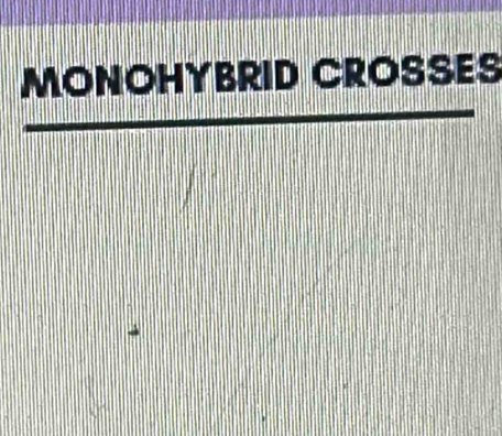 MONOHYBRID CROSSES