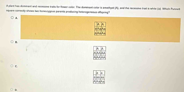 A plant has dominant and recessive traits for flower color. The dominant color is amethyst (A), and the recessive trait is white (a). Which Punnett
square correctly shows two homozygous parents producing heterogeneous offspring?
A.
B.
C.
D.