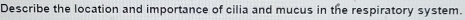 Describe the location and importance of cilia and mucus in the respiratory system.