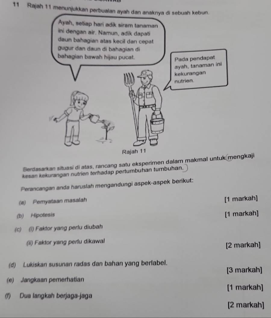 Rajah 11 menunjukkan perbualan 
Berdasarkan situasi di atas, rancang satu eksperimen dalam makmagkaji 
kesan kekurangan nutren terhadap pertumbuhan tumbuhan. 
Perancangan anda haruslah mengandungi aspek-aspek berikut: 
(a) Pemyataan masalah 
[1 markah] 
(b) Hipotesis [1 markah] 
(c) (i) Faktor yang perlu diubah 
(ii) Faktor yang perlu dikawal 
[2 markah] 
(d) Lukiskan susunan radas dan bahan yang berlabel. 
[3 markah] 
(e) Jangkaan pemerhatian 
[1 markah] 
(f) Dua langkah berjaga-jaga 
[2 markah]