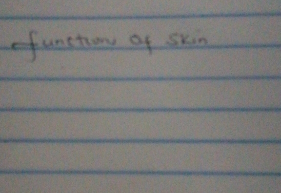 function of skin