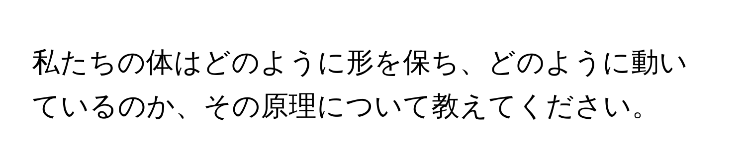 私たちの体はどのように形を保ち、どのように動いているのか、その原理について教えてください。