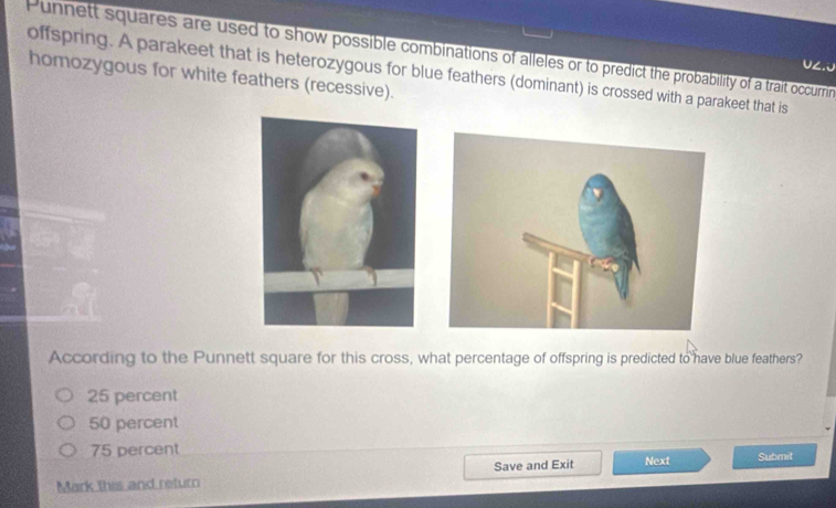 Punnett squares are used to show possible combinations of alleles or to predict the probability of a trait occurrin
offspring. A parakeet that is heterozygous for blue feathers (dominant) is crossed with a parakeet that is homozygous for white feathers (recessive).
U∠.0
According to the Punnett square for this cross, what percentage of offspring is predicted to have blue feathers?
25 percent
50 percent
75 percent
Mark this and return Save and Exit Next Submit