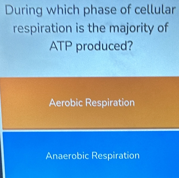 During which phase of cellular
respiration is the majority of
ATP produced?
Aerobic Respiration
Anaerobic Respiration