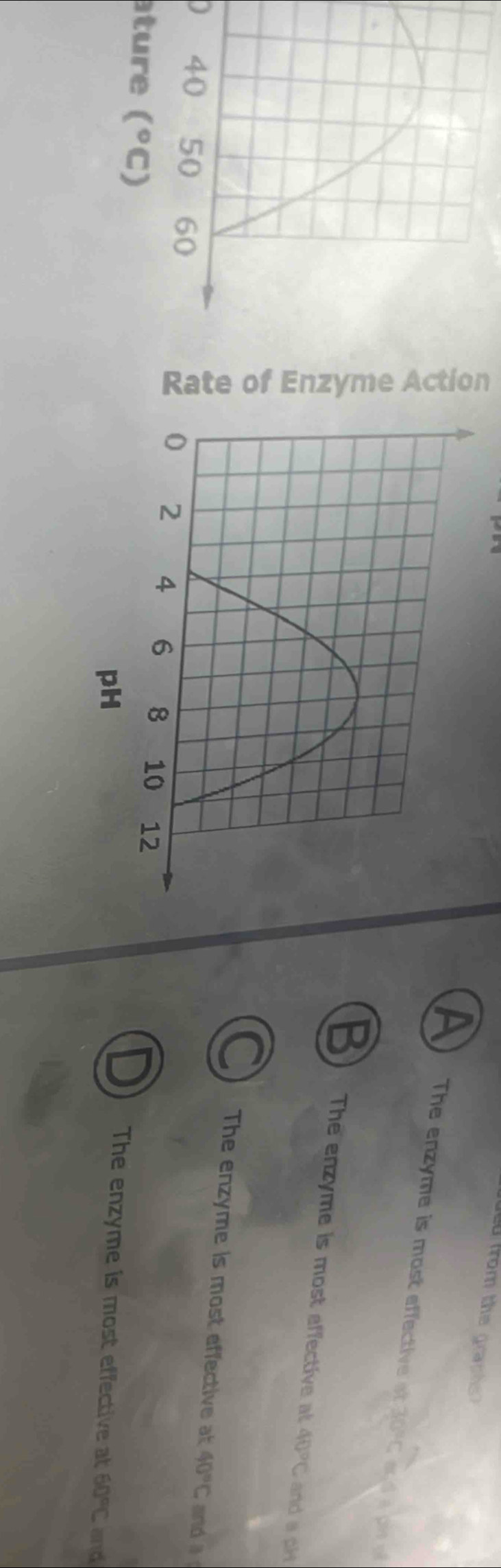 Rate of Enzyme Action