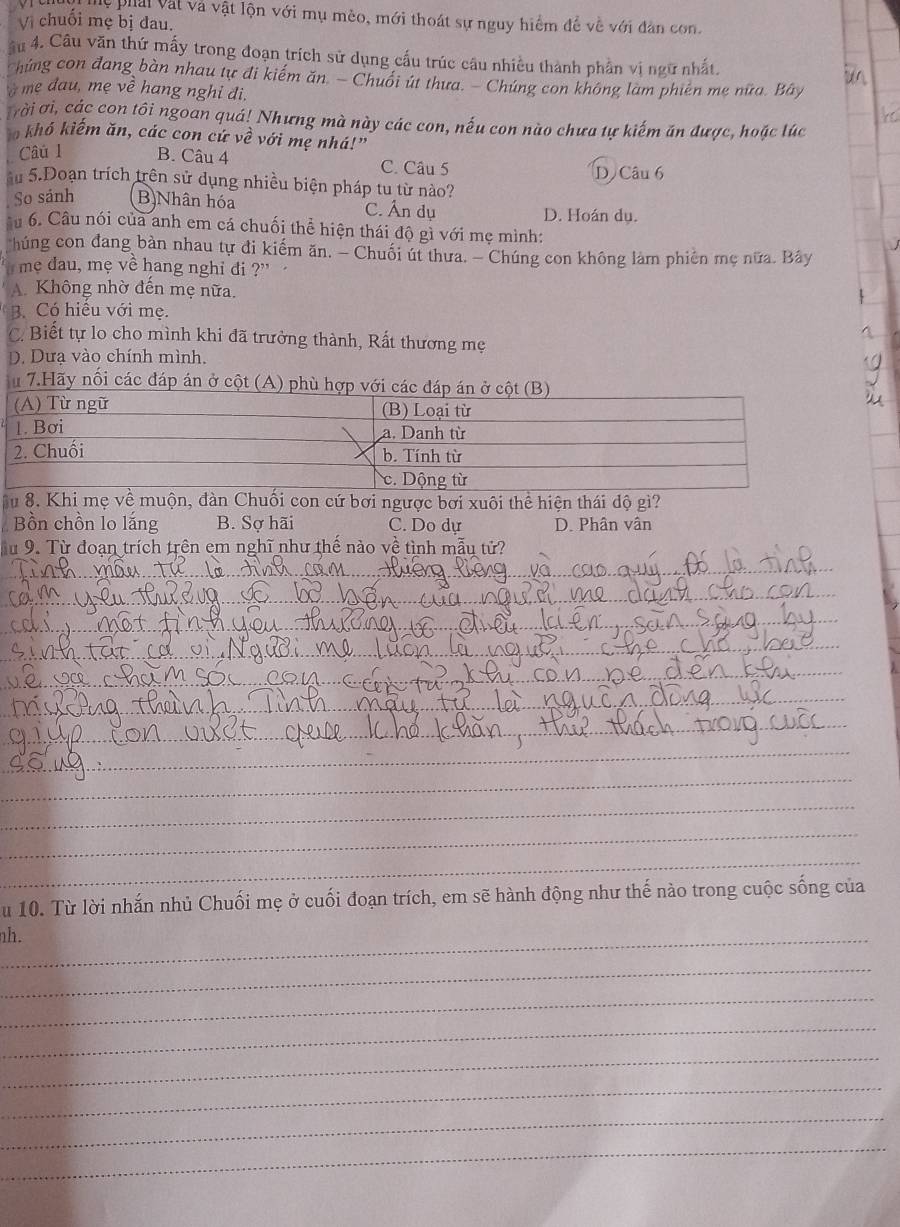 lệ phải vật và vật lộn với mụ mèo, mới thoát sự nguy hiểm để về với đân con.
Vị chuối mẹ bị đau.
âu 4. Câu văn thứ mấy trong đoạn trích sử dụng cấu trúc câu nhiều thành phần vị ngữ nhất,
chúng con đang bàn nhau tự đi kiếm ăn. - Chuối út thưa. - Chúng con không làm phiên mẹ nưa. Bây
overline e hang nghi đi.
#ời ơi, các con tôi ngoan quá! Nhưng mà này các con, nếu con nào chưa tự kiếm ăn được, hoặc lúc
khó kiếm ăn, các con cứ về với mẹ nhá!"
Câu 1 B. Câu 4 C. Câu 5
D Câu 6
âu 5.Doạn trích trên sử dụng nhiều biện pháp tu từ nào?
So sánh B Nhân hóa C. Ân dụ D. Hoán dụ.
u 6. Câu nói của anh em cá chuối thể hiện thái độ gì với mẹ mình:
Cchúng con đang bàn nhau tự đi kiểm ăn. - Chuối út thưa. - Chúng con không làm phiên mẹ nữa. Bây
" me dau, mẹ về hang nghi đi ?'
A Không nhờ đến mẹ nữa.
B. Có hiếu với mẹ.
C. Biết tự lo cho mình khi đã trưởng thành, Rất thương mẹ
D. Dưạ vào chính mình,
7.Hãy nối các đáp án ở cột (A) phù
Su 8. Khi mẹ về muộn, đàn Chuối con cứ bơi ngược bơi xuôi thể hiện thái độ gì?
Bồn chồn lo lắng B. Sợ hãi C. Do dự D. Phân vân
Từ 9. Từ đoạn trích trên em nghĩ như thế nào về tình mẫu tử?
_
_
_
_
_
_
_
_
_
_
_
_
u 10. Từ lời nhắn nhủ Chuối mẹ ở cuối đoạn trích, em sẽ hành động như thế nào trong cuộc sống của
_nh.
_
_
_
_
_
_
_