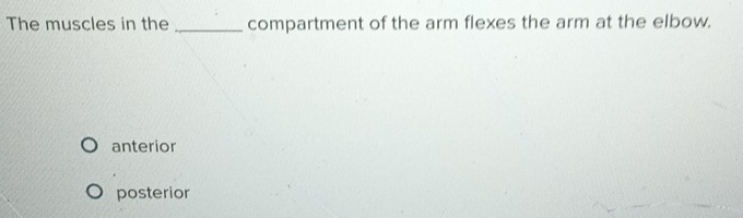 The muscles in the _compartment of the arm flexes the arm at the elbow.
anterior
posterior