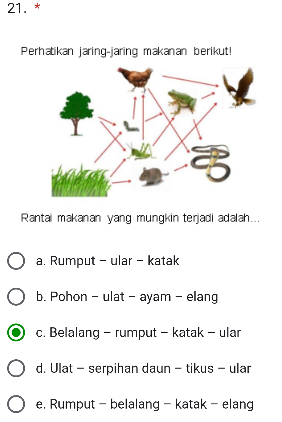 Perhatikan jaring-jaring makanan berikut!
Rantai makanan yang mungkin terjadi adalah...
a. Rumput - ular - katak
b. Pohon - ulat - ayam - elang
c. Belalang - rumput - katak - ular
d. Ulat - serpihan daun - tikus - ular
e. Rumput - belalang - katak - elang