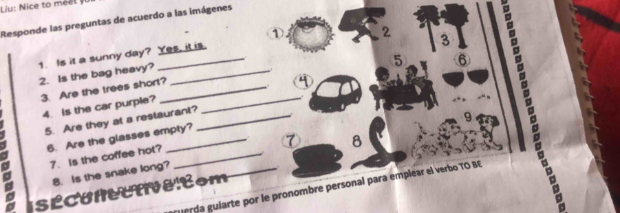 Liu: Nice to méet 
Responde las preguntas de acuerdo a las imágenes 
① 
_2 3 é 
1. Is it a sunny day? Yes, it is.
5 6
2. Is the bag heavy?_ 
. 
3. Are the trees short?_ 
. 
4. Is the car purple? 
5. Are they at a restaurant?_ 
9 
6. Are the glasses empty? 
8 
7. is the coffee hot?_ 
8. Is the snake long? 
. 
a SÉcunectve:com 
Jerda guiarte por le pronombre personal para emplear el verbo TO BE