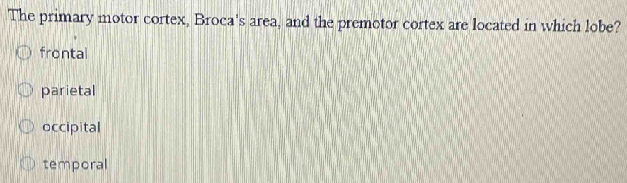 The primary motor cortex, Broca’s area, and the premotor cortex are located in which lobe?
frontal
parietal
occipital
temporal