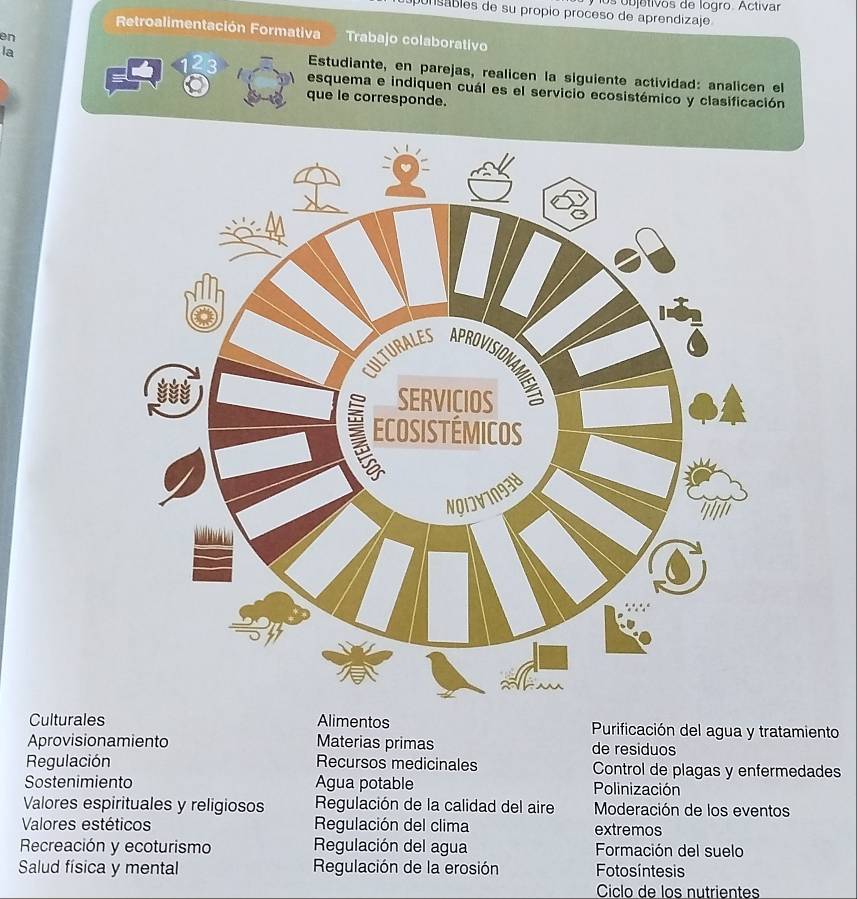 os objetivos de logro. Activar
ponsables de su propio proceso de aprendizaje
Retroalimentación Formativa Trabajo colaborativo
en
la
43 Estudiante, en parejas, realicen la siguiente actividad: analicen el
esquema e indiquen cuál es el servicio ecosistémico y clasificación
que le corresponde.
Culturales Alimentos Purificación del agua y tratamiento
Aprovisionamiento Materias primas de residuos
Regulación Recursos medicinales Control de plagas y enfermedades
Sostenimiento Agua potable Polinización
Valores espirituales y religiosos Regulación de la calidad del aire Moderación de los eventos
Valores estéticos Regulación del clima extremos
Recreación y ecoturismo Regulación del agua Formación del suelo
Salud física y mental Regulación de la erosión Fotosíntesis
Ciclo de los nutrientes