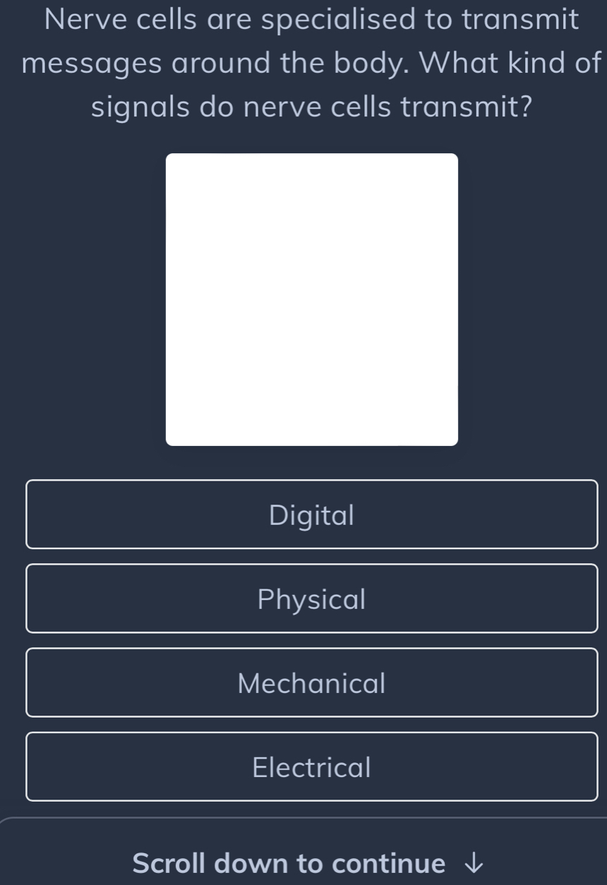 Nerve cells are specialised to transmit
messages around the body. What kind of
signals do nerve cells transmit?
Digital
Physical
Mechanical
Electrical
Scroll down to continue