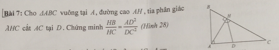 Cho △ ABC vuông tại A, đường cao AH , tia phân giác 
AHC cắt AC tại D. Chứng minh  HB/HC = AD^2/DC^2  (Hình 28)