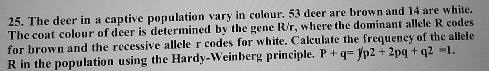 The deer in a captive population vary in colour. 53 deer are brown and 14 are white. 
The coat colour of deer is determined by the gene R/r, where the dominant allele R codes 
for brown and the recessive allele r codes for white. Calculate the frequency of the allele
R in the population using the Hardy-Weinberg principle. P+q=1/p2+2pq+q2=1.