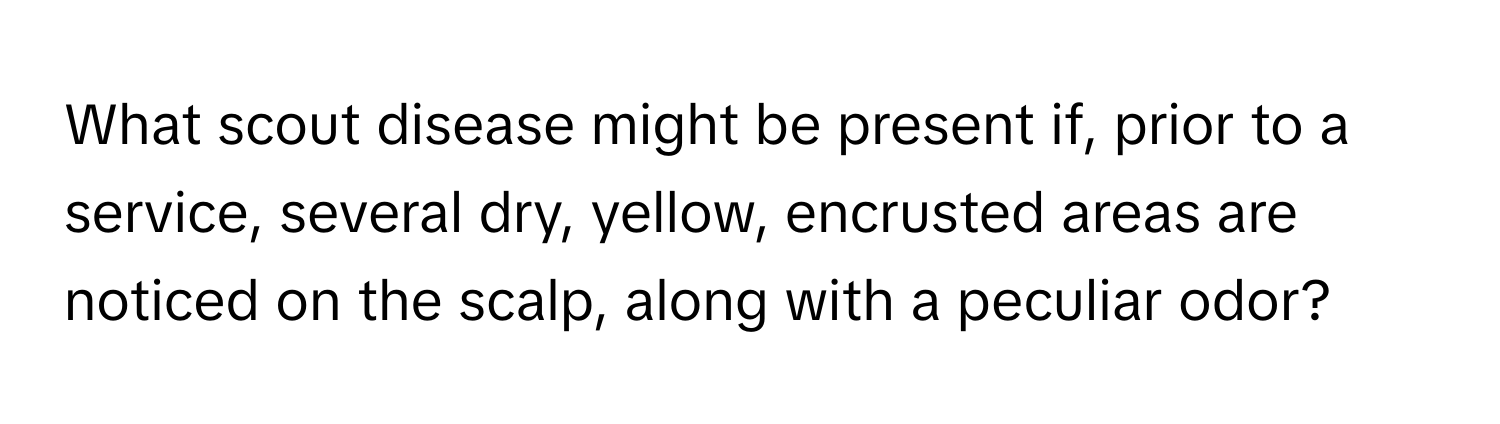 What scout disease might be present if, prior to a service, several dry, yellow, encrusted areas are noticed on the scalp, along with a peculiar odor?