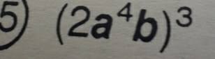 51 (2a^4b)^3