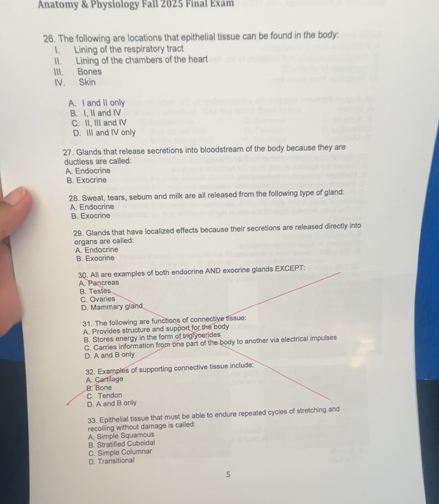 Solved: Anatomy & Physiology Fall 2025 Final Exam 26. The following are ...
