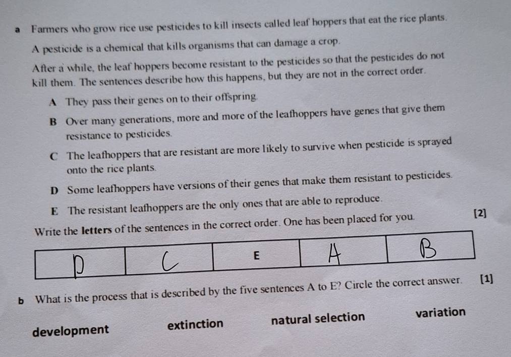 a Farmers who grow rice use pesticides to kill insects called leaf hoppers that eat the rice plants.
A pesticide is a chemical that kills organisms that can damage a crop.
After a while, the leaf hoppers become resistant to the pesticides so that the pesticides do not
kill them. The sentences describe how this happens, but they are not in the correct order.
A They pass their genes on to their offspring.
B Over many generations, more and more of the leafhoppers have genes that give them
resistance to pesticides.
C The leafhoppers that are resistant are more likely to survive when pesticide is sprayed
onto the rice plants.
D Some leafhoppers have versions of their genes that make them resistant to pesticides.
E The resistant leafhoppers are the only ones that are able to reproduce.
Write the letters of the sentences in the correct order. One has been placed for you.
[2]
E
b What is the process that is described by the five sentences A to E? Circle the correct answer. [1]
development extinction natural selection variation