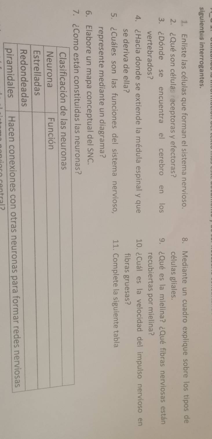 siguientes interrogantes. 
1. Enliste las células que forman el sistema nervioso. 8. Mediante un cuadro explique sobre los tipos de 
2. ¿Qué son células receptoras y efectoras? células gliales. 
3. ¿Dónde se encuentra el cerebro en los 9. ¿Qué es la mielina? ¿Qué fibras nerviosas están 
vertebrados? recubiertas por mielina? 
4. ¿Hacia donde se extiende la médula espinal y que 10. ¿Cuál es la velocidad del impulso nervioso en 
se deriva de ella? fibras gruesas? 
5. ¿Cuáles son las funciones del sistema nervioso, 11. Complete la siguiente tabla 
represente mediante un diagrama? 
6. Elabore un mapa conceptual del SNC. 
7.onstituidas las neuronas?