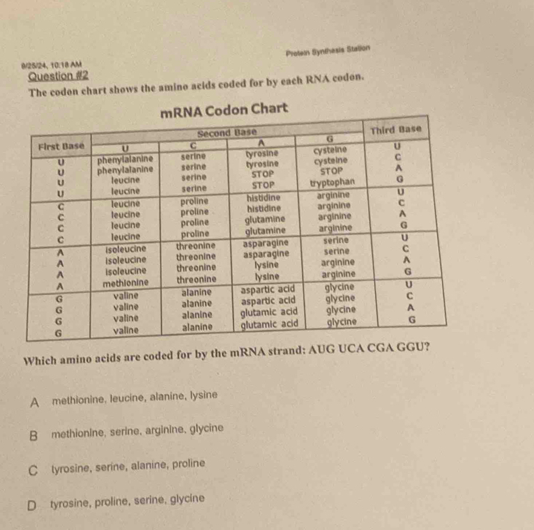 Proteln Synthesis Stalion
0/25/24, 10.18 AM
Question #2
The codon chart shows the amino acids coded for by each RNA codon.
rt
Which amino acids are coded for by the mRNA strand: A
A methionine, leucine, alanine, lysine
B methionine, serine, arginine, glycine
C tyrosine, serine, alanine, proline
D tyrosine, proline, serine, glycine