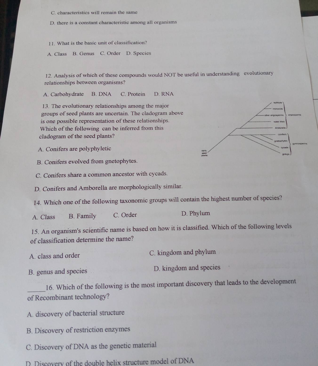 C. characteristics will remain the same
D. there is a constant characteristic among all organisms
11. What is the basic unit of classification?
A. Class B. Genus C. Order D. Species
12. Analysis of which of these compounds would NOT be useful in understanding evolutionary
relationships between organisms?
A. Carbohydrate B. DNA C. Protein D. RNA
13. The evolutionary relationships among the major
groups of seed plants are uncertain. The cladogram above
is one possible representation of these relationships.
Which of the following can be inferred from this
cladogram of the seed plants?
A. Conifers are polyphyletic
B. Conifers evolved from gnetophytes.
C. Conifers share a common ancestor with cycads.
D. Conifers and Amborella are morphologically similar.
14. Which one of the following taxonomic groups will contain the highest number of species?
A. Class B. Family C. Order D. Phylum
15. An organism's scientific name is based on how it is classified. Which of the following levels
of classification determine the name?
A. class and order C. kingdom and phylum
B. genus and species D. kingdom and species
_
16. Which of the following is the most important discovery that leads to the development
of Recombinant technology?
A. discovery of bacterial structure
B. Discovery of restriction enzymes
C. Discovery of DNA as the genetic material
D. Discovery of the double helix structure model of DNA