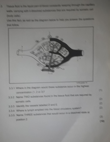 Tasue fuld is the fiould part of blood constantty seeping through the capillany 
walls, carrying with it dissolved substances that are required by sometic cett 
(body cailn) 
Use this fack, as well as the diagram below to help you answer the questions. 
Đat lolow 
3. 3.1 Where in the diagram would these subslance occur in the highest 
concentration (1, 2 or 3) 7
3. 3.2 Name TWO substances found in the tissue fluid that are required by 
somatic cells 
3 3 3 identily the vessels labelled D and E 
3. 3.4 Where is tymph emptied into the blood circulatory system? 
33.5 Name THREE substances that would occur in a dissoived state at (3) 
position 2
(12)