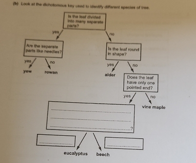 Solved: Look at the dichotomous key used to identify different species ...