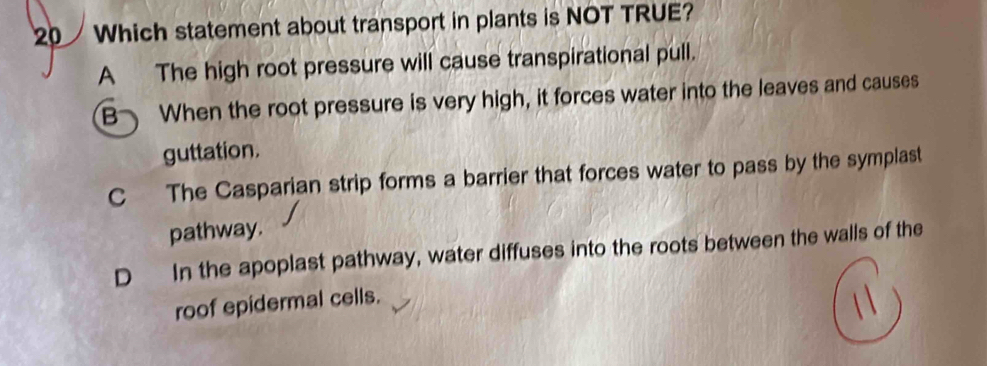 Which statement about transport in plants is NOT TRUE?
A The high root pressure will cause transpirational pull.
B When the root pressure is very high, it forces water into the leaves and causes
guttation.
C The Casparian strip forms a barrier that forces water to pass by the symplast
pathway.
D In the apoplast pathway, water diffuses into the roots between the walls of the
roof epidermal cells.
