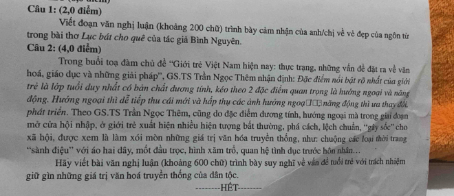 (2,0 điểm) 
Viết đoạn văn nghị luận (khoảng 200 chữ) trình bày cảm nhận của anh/chị về vẻ đẹp của ngôn từ 
trong bài thơ Lục bát cho quê của tác giả Bình Nguyên. 
Câu 2: (4,0 điểm) 
Trong buổi toạ đàm chủ đề 'Giới trẻ Việt Nam hiện nay: thực trạng, những vấn đề đặt ra về văn 
hoá, giáo dục và những giải pháp'', GS.TS Trần Ngọc Thêm nhận định: Đặc điểm nổi bật rõ nhất của giới 
trẻ là lớp tuổi duy nhất có bản chất dương tính, kéo theo 2 đặc điểm quan trọng là hướng ngoại và năng 
động. Hướng ngoại thì dễ tiếp thu cái mới và hấp thụ các ảnh hưởng ngoạ ờờ, năng động thì ưa thay đổi, 
phát triển. Theo GS.TS Trần Ngọc Thêm, cũng do đặc điểm dương tính, hướng ngoại mà trong giai đoạn 
mở cửa hội nhập, ở giới trẻ xuất hiện nhiều hiện tượng bất thường, phá cách, lệch chuẩn, ''gây sốc' cho 
xã hội, được xem là làm xói mòn những giá trị văn hóa truyền thống, như: chuộng các loại thời trang 
'sành điệu' với áo hai dây, mốt đầu trọc, hình xăm trồ, quan hệ tình dục trước hôn nhân... 
Hãy viết bài văn nghị luận (khoảng 600 chữ) trình bày suy nghĩ về vấn đề tuổi trẻ với trách nhiệm 
giữ gìn những giá trị văn hoá truyền thống của dân tộc. 
-HếT-