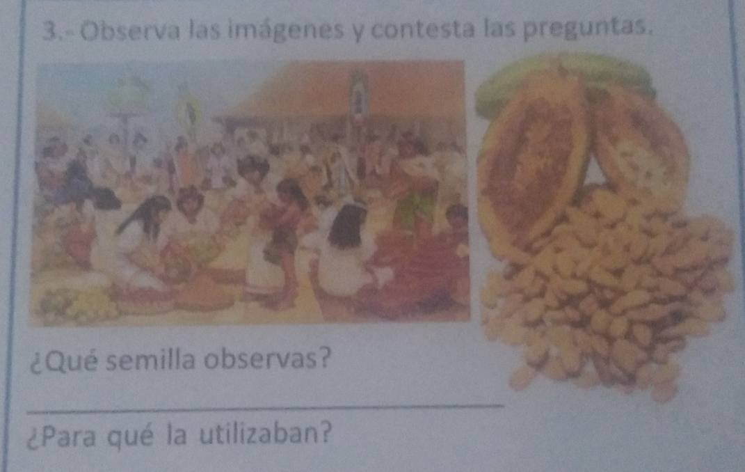 3.- Observa las imágenes y contesta las preguntas. 
¿Qué semilla observas? 
_ 
¿Para qué la utilizaban?