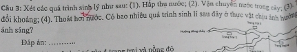 Xét các quá trình sinh lý như sau: (1). Hấp thụ nước; (2). Vận chuyển nước trong cây: (3) 
đổi khoáng; (4). Thoát hơi nước. Có bao nhiêu quá trình sinh lí sau đây ở thực vật chịu ảnh hưởng ” ? ] 
ánh sáng? 
Đáp án:_ 
Trang trant 
rang trai và nồng đô